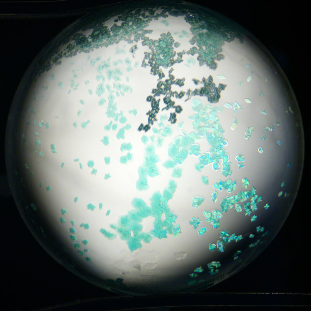 Quartz Bead with Bicolour Chrysocolla Inclusions 11.9 mm