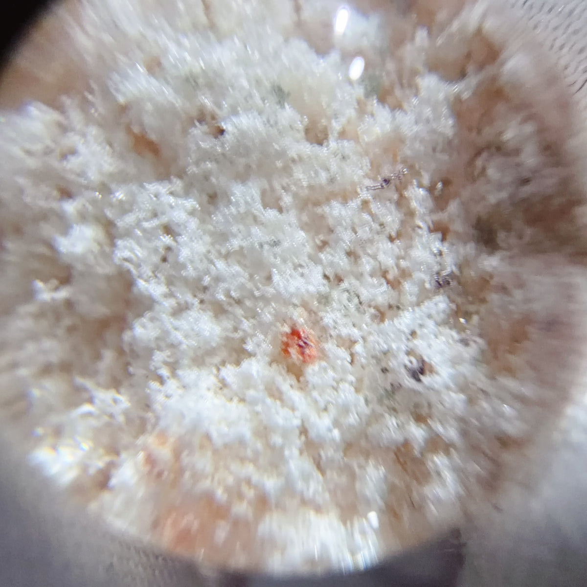 Quartz Bead with Bowl-shaped Phantom Growth 14.9 mm