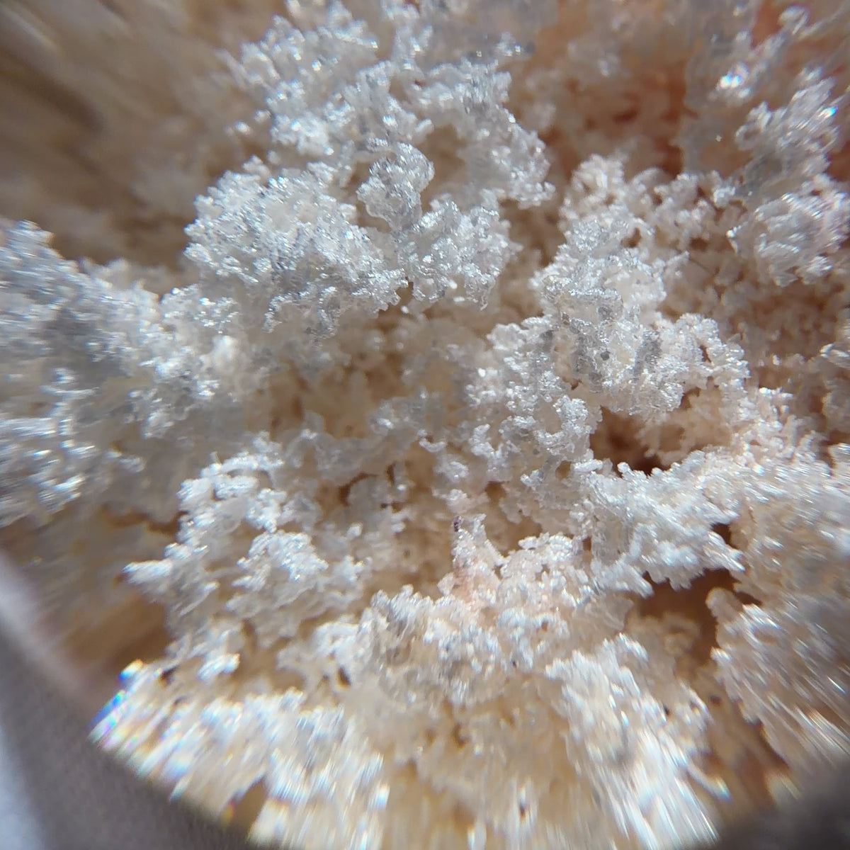 Quartz Bead with Bowl-shaped Phantom Growth 25.7 mm