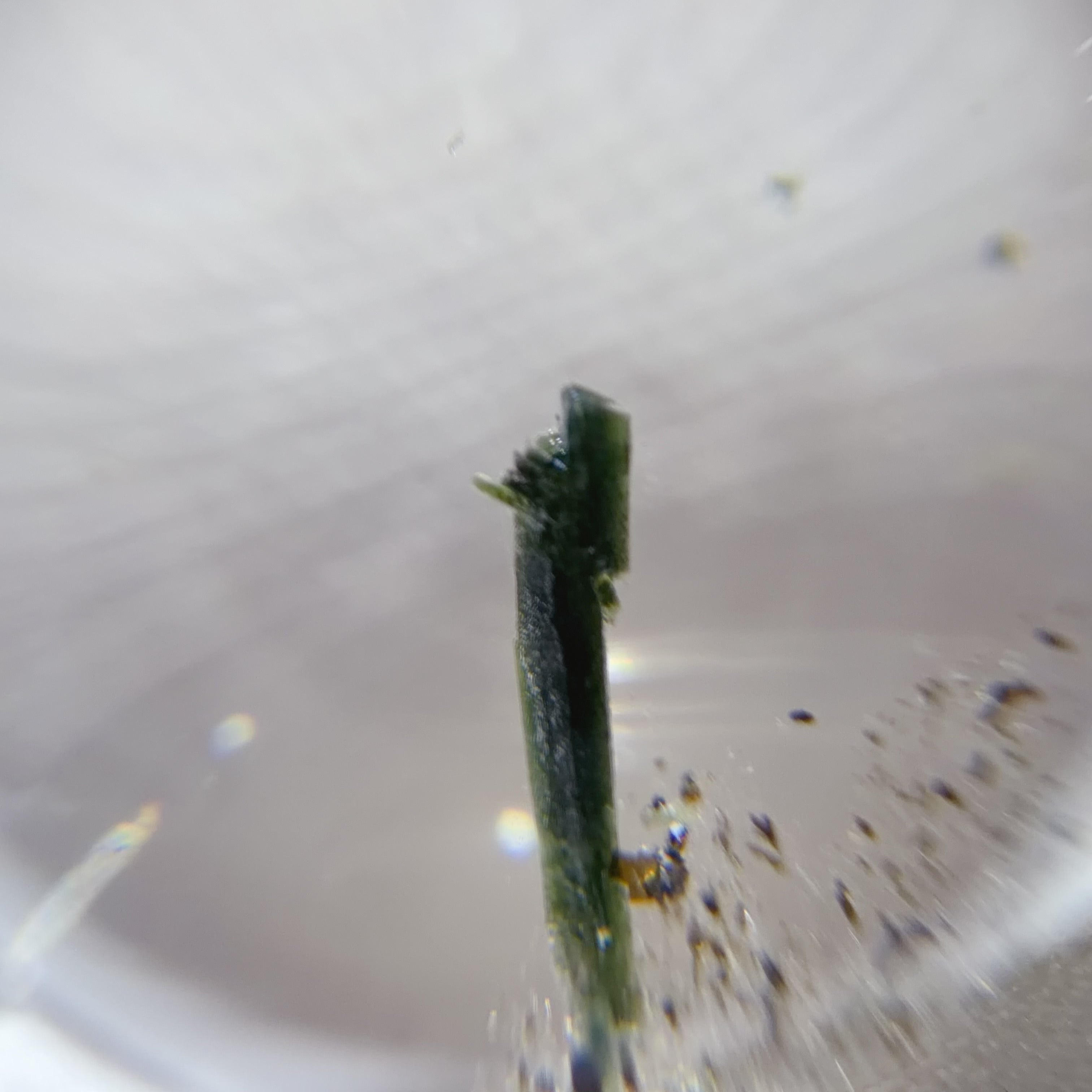 Quartz Bead with Epidote and Green Mica Inclusions