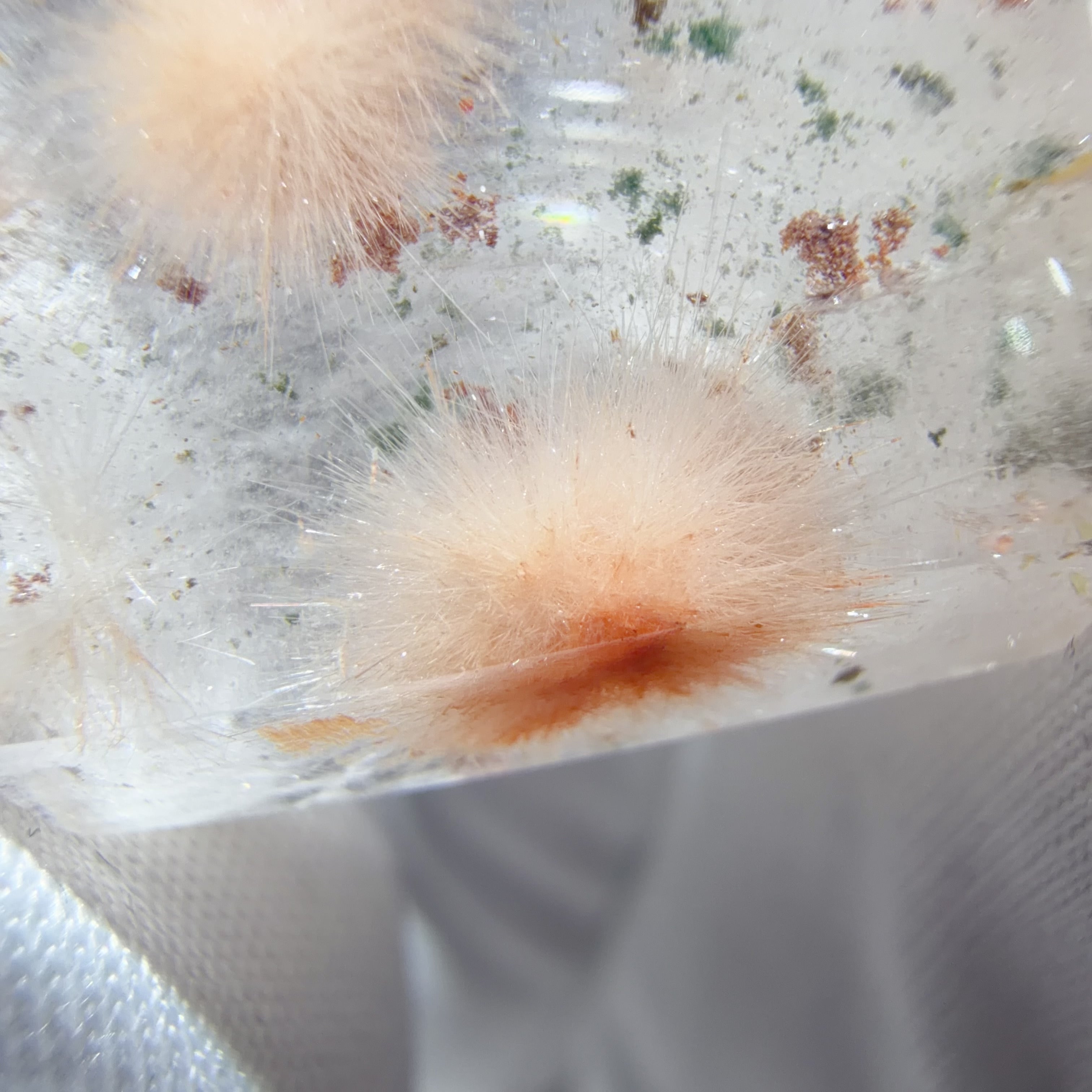 Quartz Point Section with Orange Flower-like Inclusions